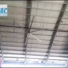 video-thumb-0