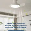 Ceiling Fan, XD025
