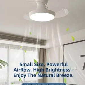 Ceiling Fan, XD025