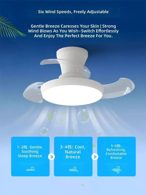 Ceiling Fan, XD025 - view 4