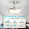 Ceiling Fan, ZY1109 - view 2
