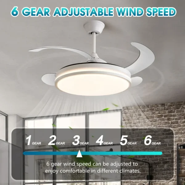 Ceiling Fan, ZY1109 - view 4