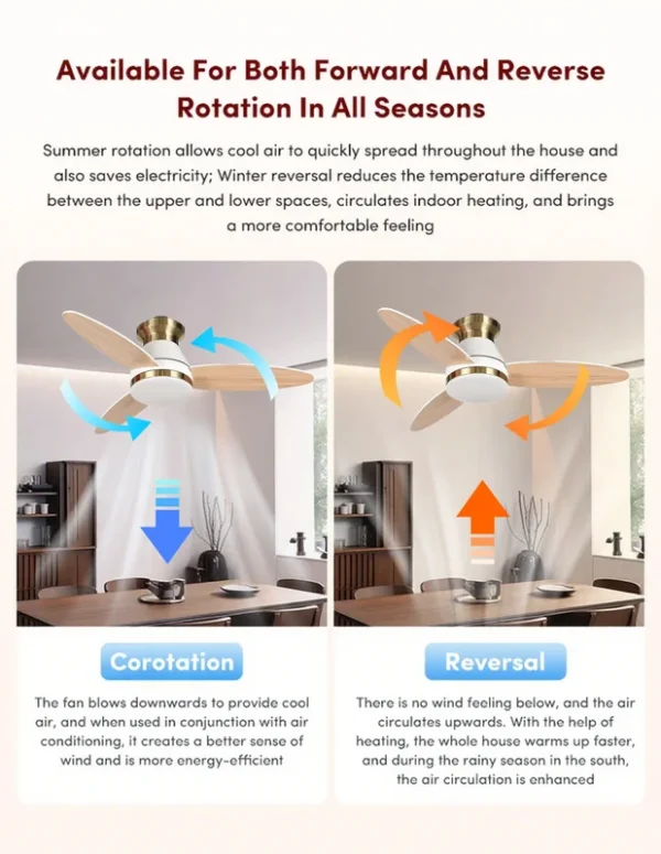 Ceiling Fans, 3CCT, BLDC - view 4
