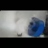 video-thumb-0