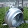 Centrifugal Fans