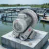 Channel Ring Vortex Blower, 2.2kW, 380V/3HP