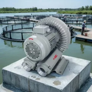 Channel Ring Vortex Blower, 2.2kW, 380V/3HP