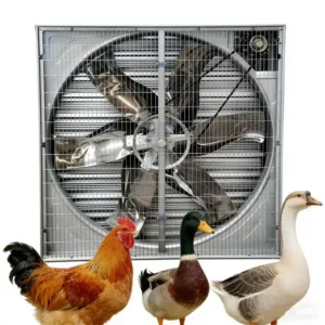 Chicken Coop Ventilation Fan, Stainless, Steel, 380V, Wall
