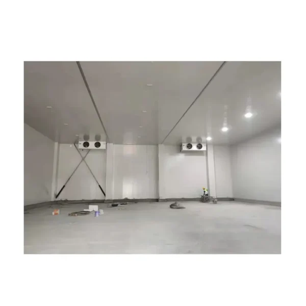 Cold Room Deep Freezer, 220, 8.8KW - view 2