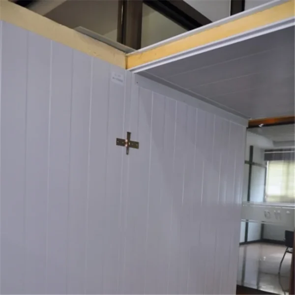 Cold Room Floor Panel, Wall, 220V-240V, Fireproof board - view 6