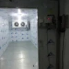 Cold Room Storage, 20-Ton, Solar - view 6