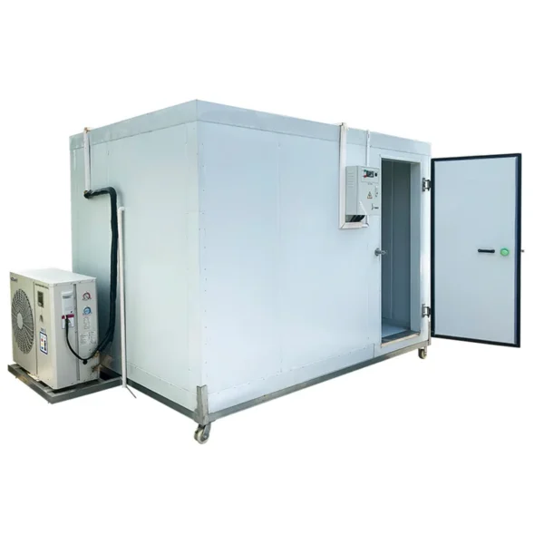 Cold Room Storage, 20ft, 10ft, 10m3 - view 4