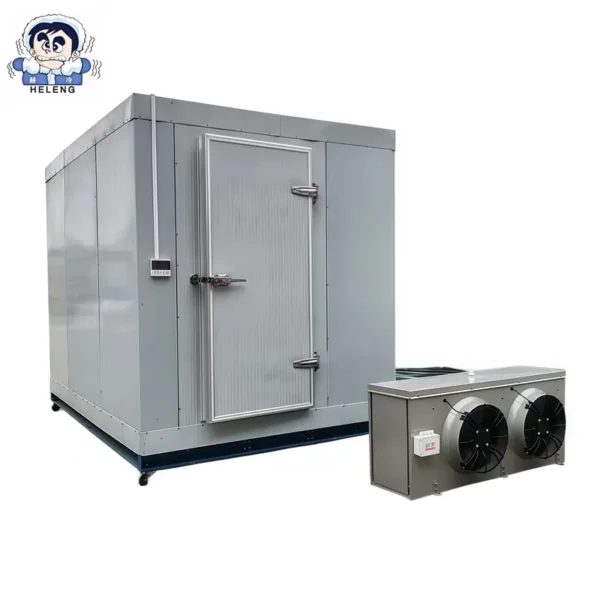 Cold Room Storage, 20ft, 110-240V, R22 - view 6