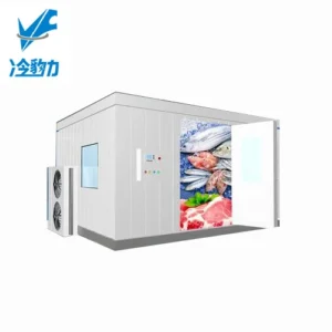 Cold Room Storage, 20Ft, 220, R22