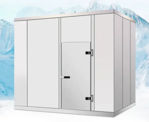 Cold Room Storage, 20Ft, 220, R22 - view 3