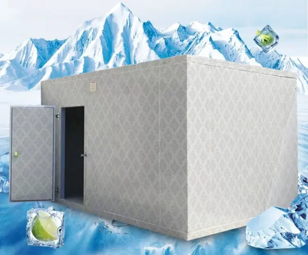 Cold Room Storage, 20Ft, 220, R22 - view 4