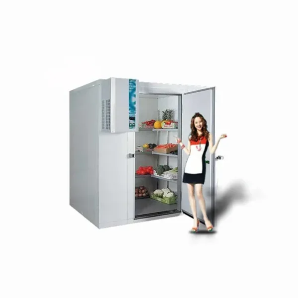 Cold Room Storage, 20Ft, 220V-380V, 5kw~200kw - view 2