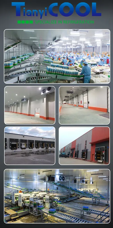 Cold Room Storage, 20ft, 40ft - view 6