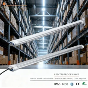 Cold Room Storage, 4FT, IP65, LED