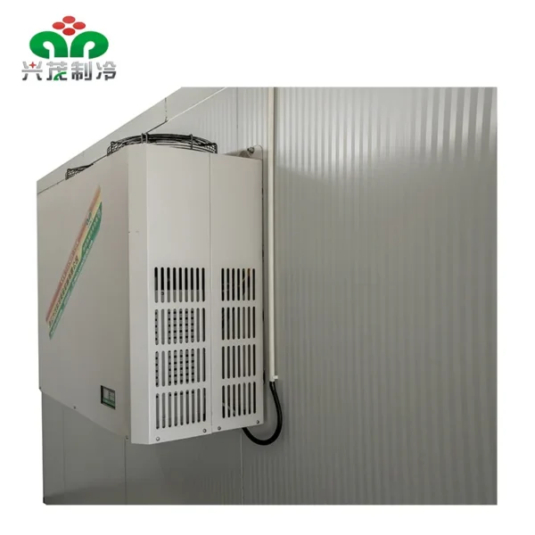 Cold Room Storage, 50ton, Energy Save - view 3