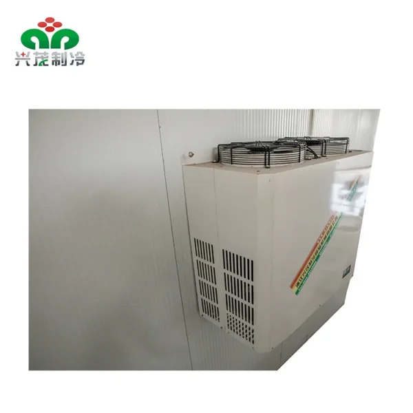 Cold Room Storage, 50ton, Energy Save - view 4