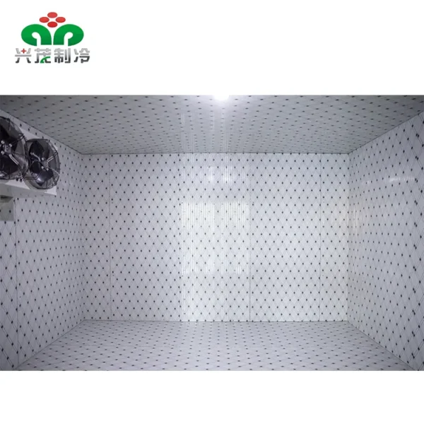Cold Room Storage, 50ton, Energy Save - view 6