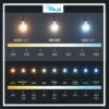Cold Room Storage, DON, FELIZ, LED, 4U - view 3