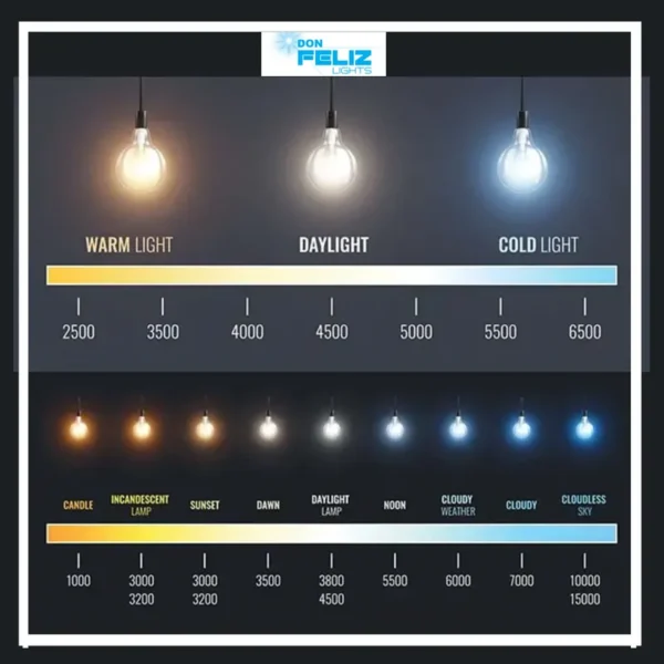 Cold Room Storage, DON, FELIZ, SMD, LED - view 3