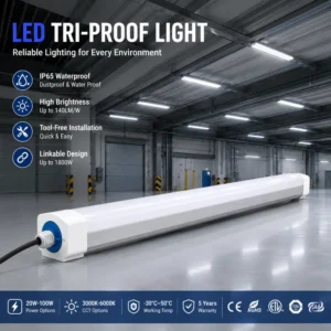 Cold Room Storage, Waterproof, IP65, 8ft, LED