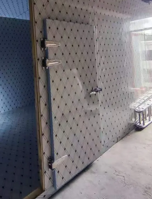 Cold Storage Door Unit, m*1, 100, Steel - view 6