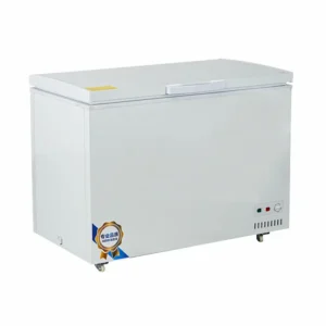 Commercial Freezer, 220V-240V, R290