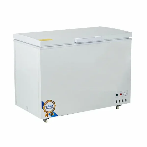 Commercial Freezer, 220V-240V, R290