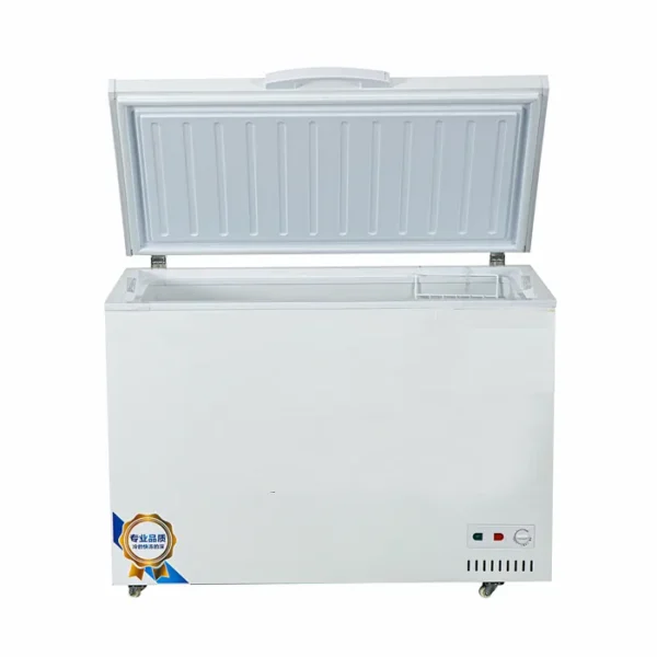 Commercial Freezer, 220V-240V, R290 - view 2
