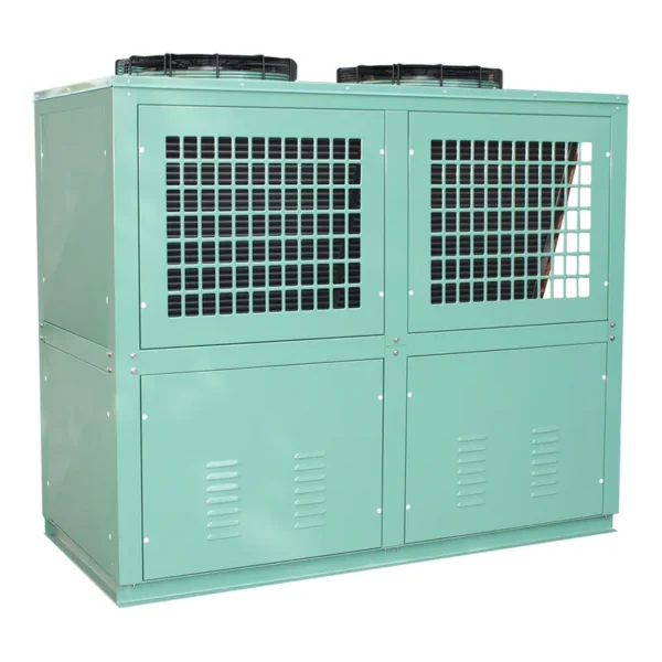 Condensing Unit, 220 V, 2*460w