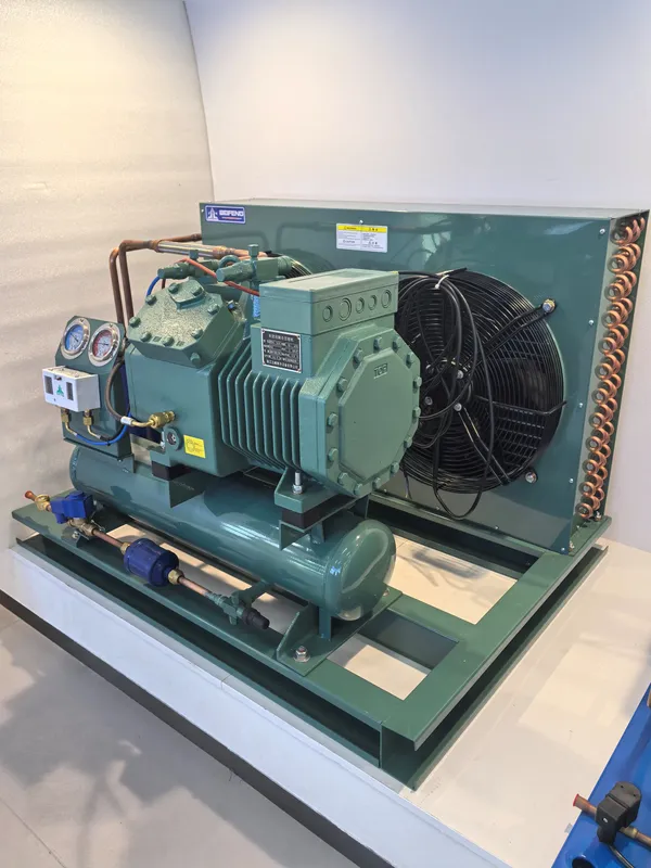 Condensing Unit, BEIFENG, R404a - view 3