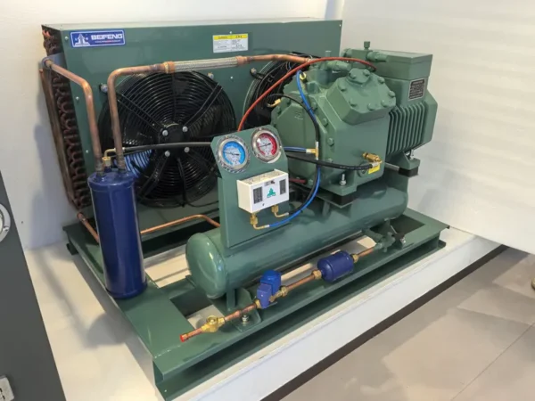 Condensing Unit, BEIFENG, R404a - view 4