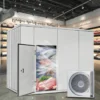 Condensing Unit, Monoblock, 220 V, 500 W