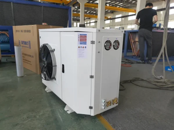 Condensing Unit, RUIXUE, 2HP, R404a - view 4