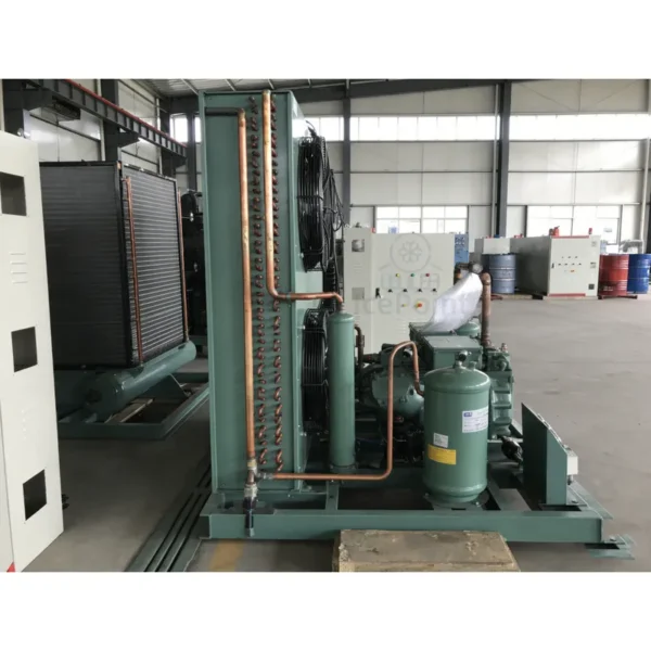 Condensing Unit, Solar, 220 V, R404A - view 2
