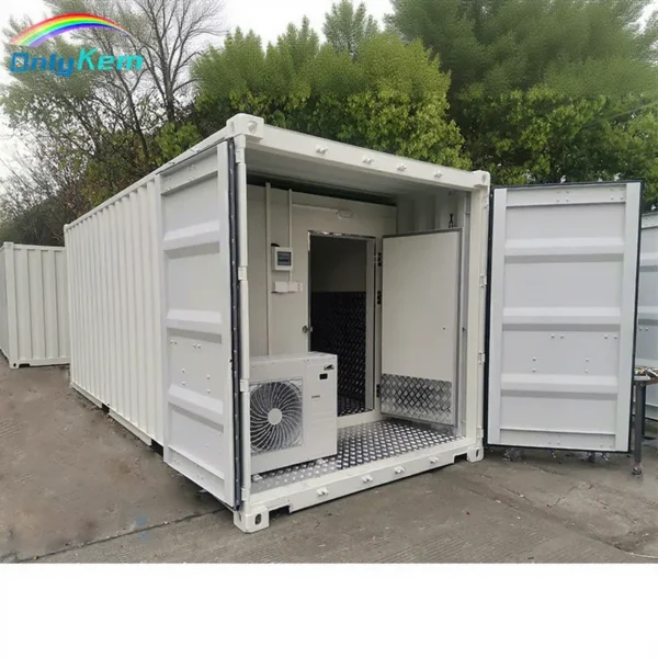 Container Chiller, 20FT/40HQ, 220v, R-404A