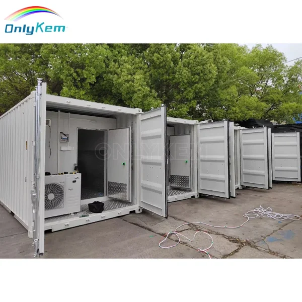 Container Chiller, 20FT/40HQ, 220v, R-404A - view 5