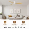 Control Led Ceiling Fan, JS-3038D - view 4