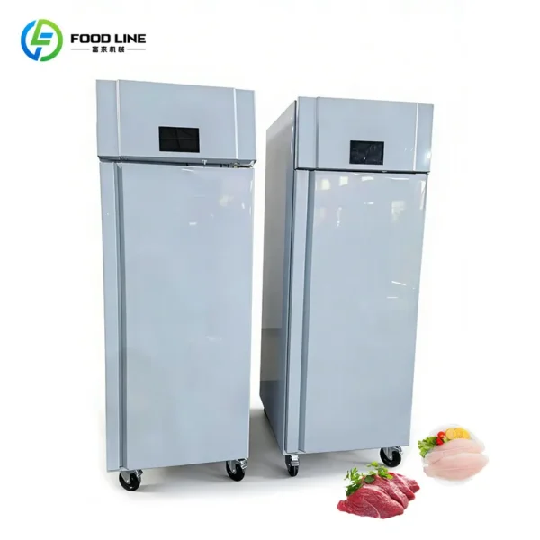 Controlled Thawing Cabinet Freezer, 110V-240V - view 4