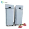 Controlled Thawing Cabinet Freezer, 110V-240V - view 5