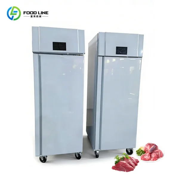 Controlled Thawing Cabinet Freezer, 110V-240V - view 5