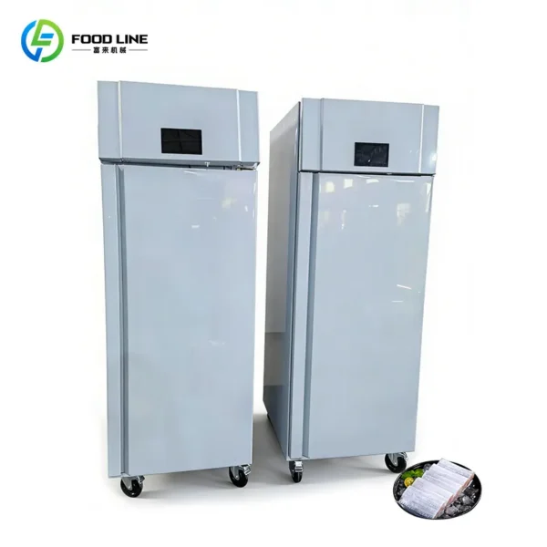 Controlled Thawing Cabinet Freezer, 110V-240V - view 6