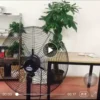 video-thumb-0