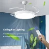 Copper Motor, Ceiling, LED