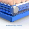 Cross Flow Fans, 128, 192, 256eggs - view 6
