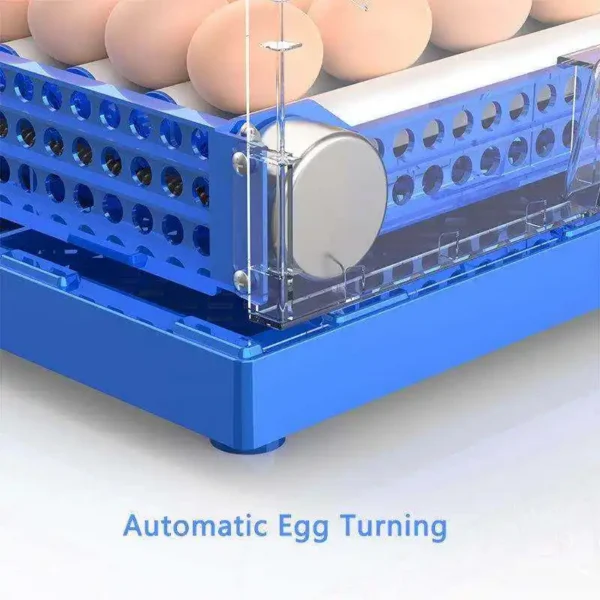 Cross Flow Fans, 128, 192, 256eggs - view 6